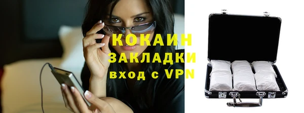 мдпв Верея