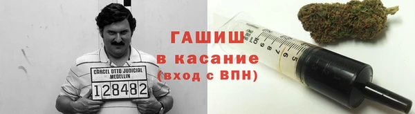 молекула духа Волоколамск