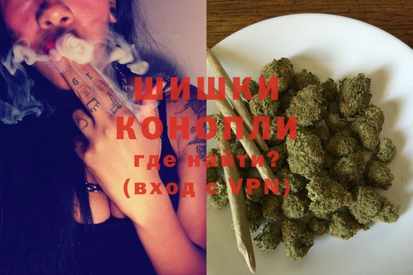 молекула духа Волоколамск